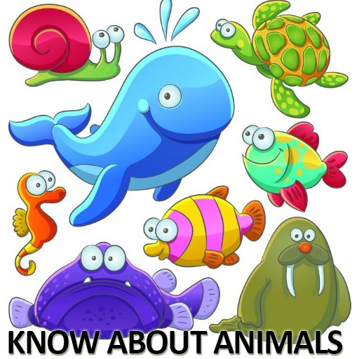 animals games 